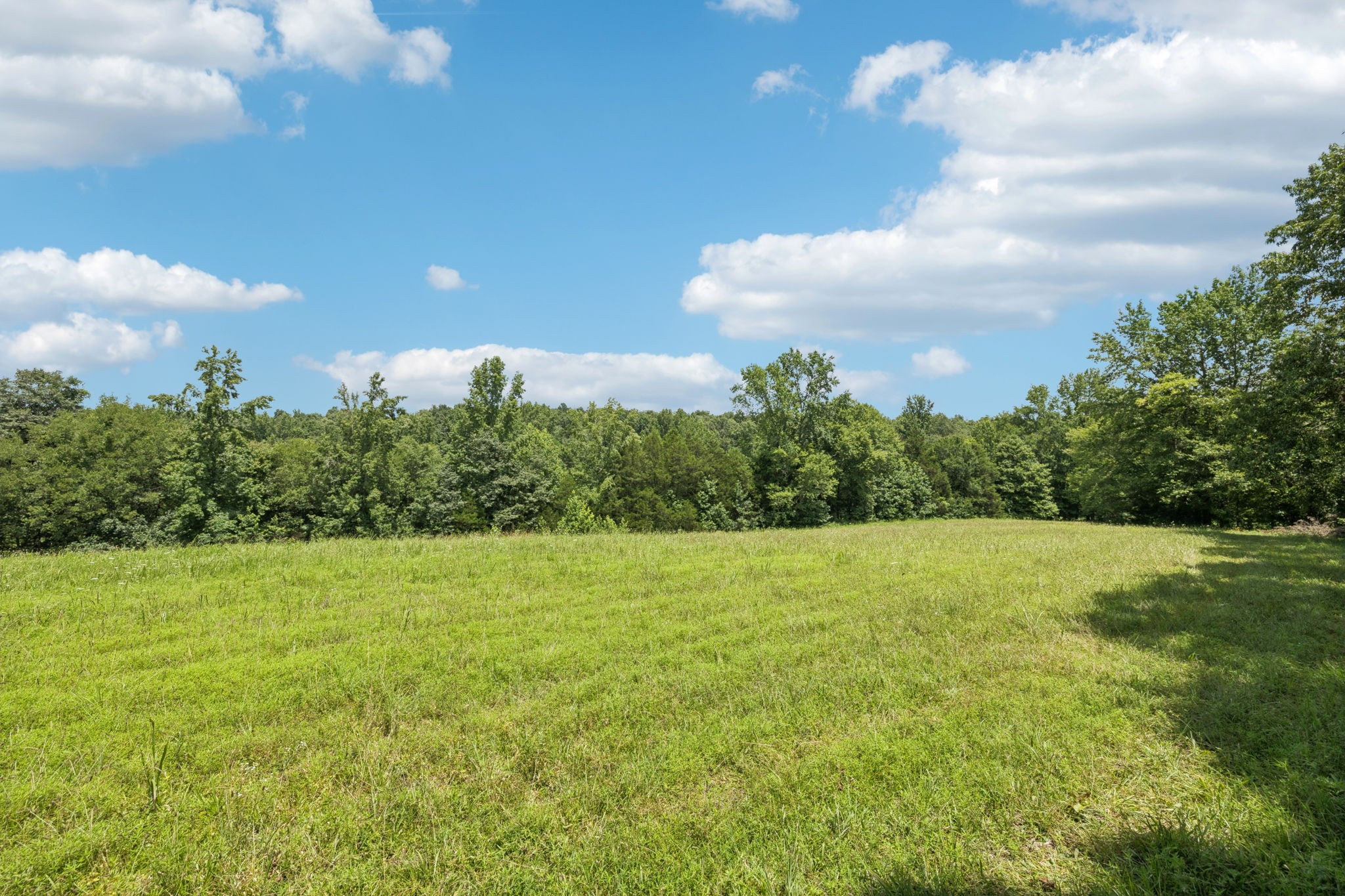 0 Deer Creek Road McEwen, TN 37101 - Photo 7 of 21