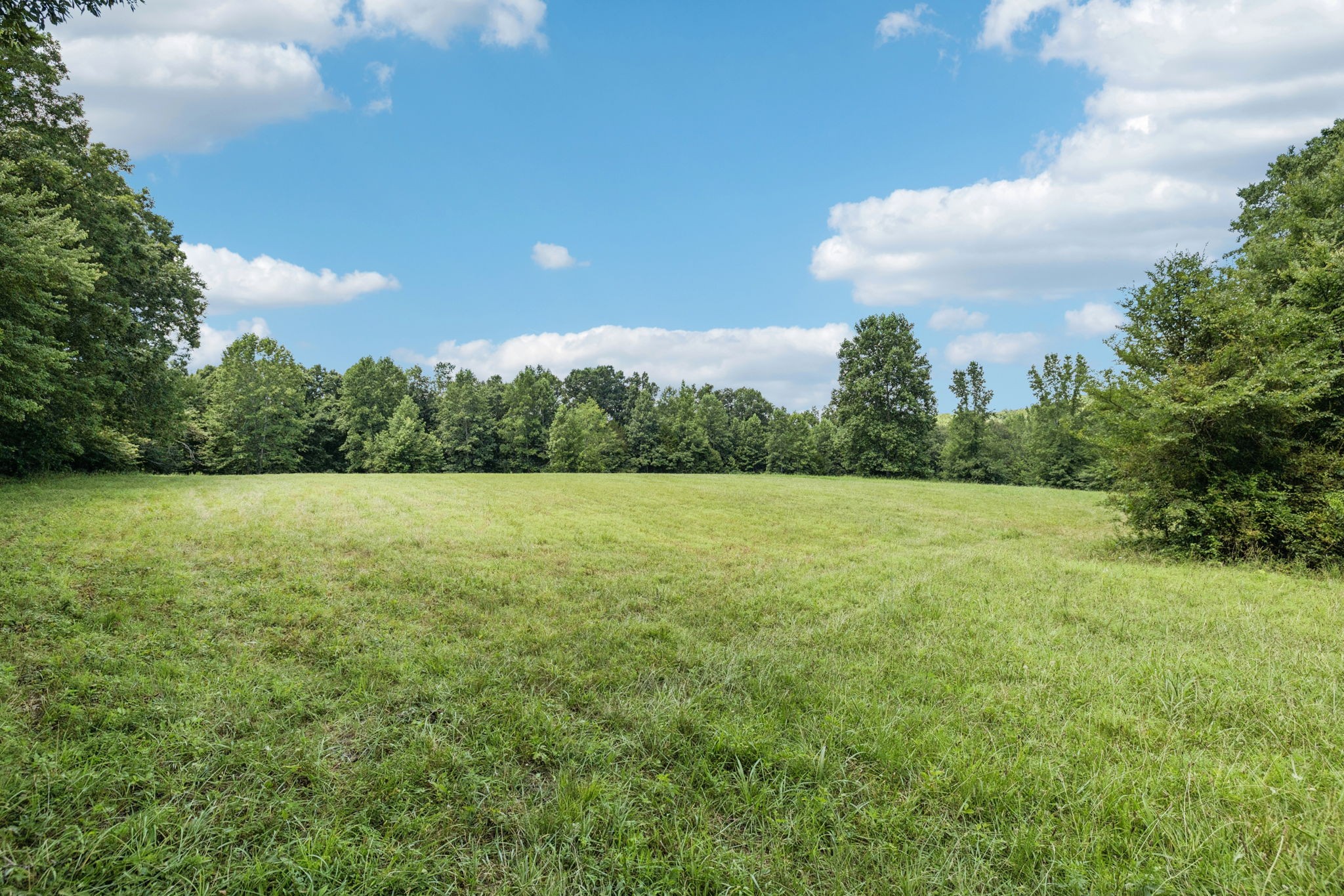 0 Deer Creek Road McEwen, TN 37101 - Photo 8 of 21
