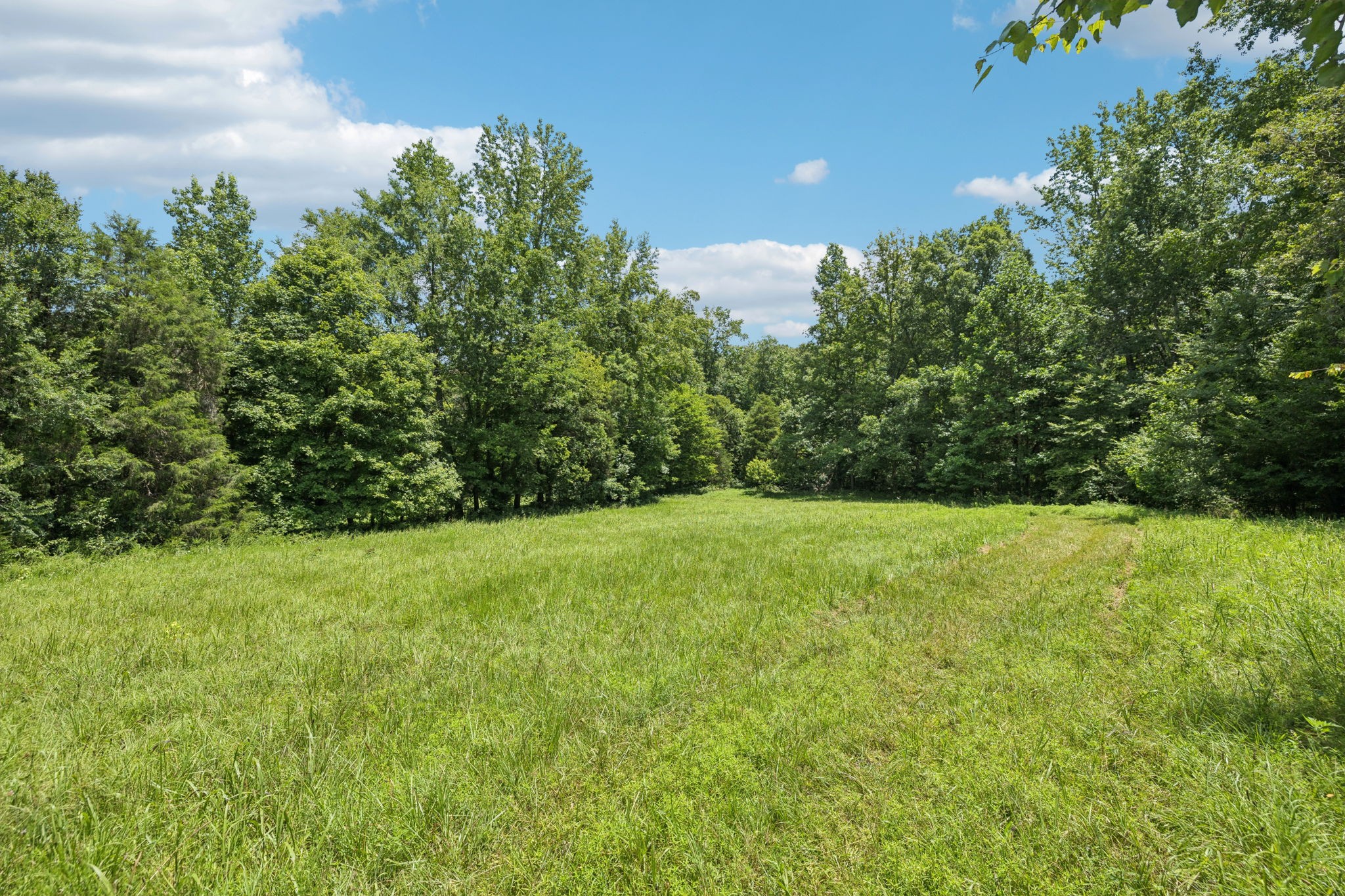 0 Deer Creek Road McEwen, TN 37101 - Photo 9 of 21