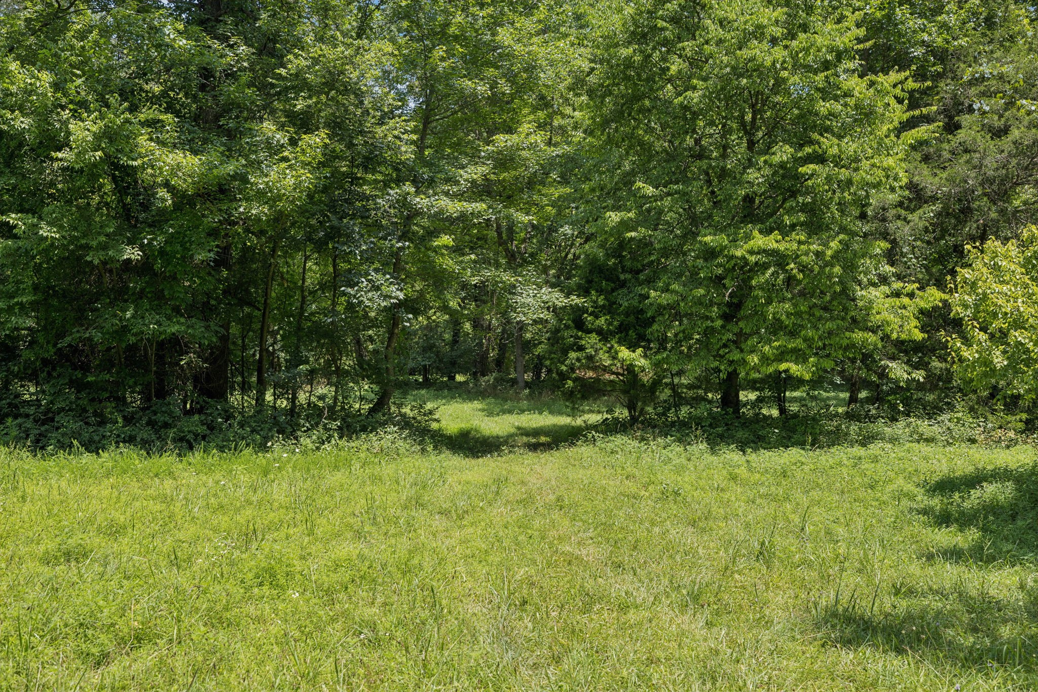 0 Deer Creek Road McEwen, TN 37101 - Photo 10 of 21