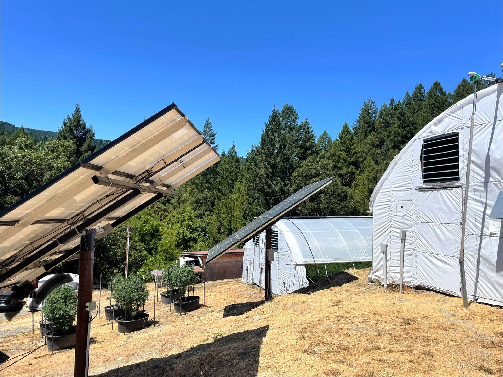 36111 Alderpoint Road Blocksburg, CA 95514 - Photo 29 of 72