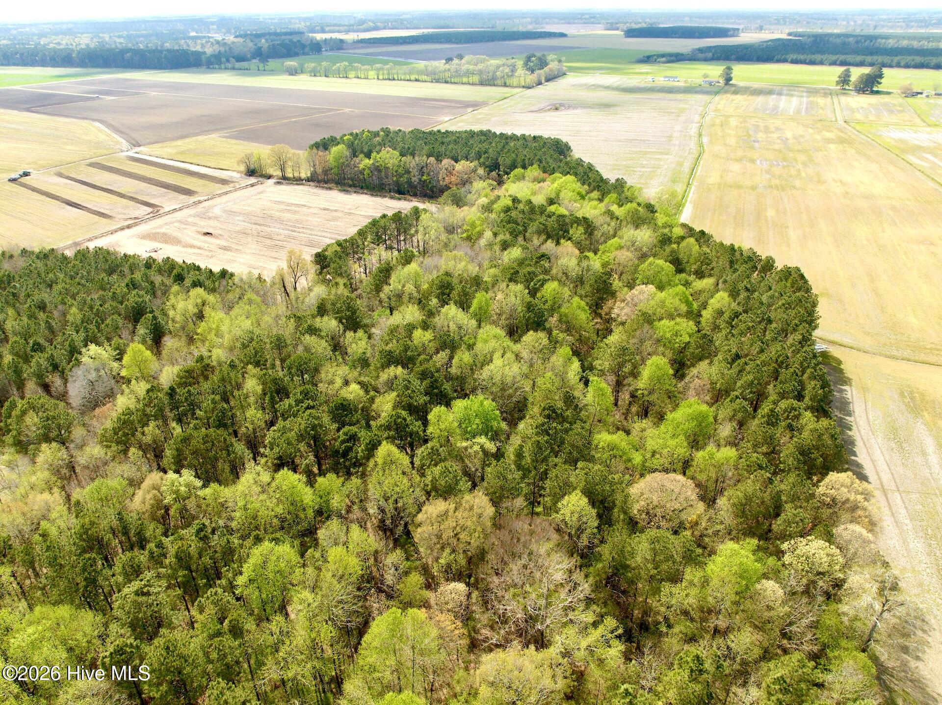 0 Middle Swamp Road Gates, NC 27937 - Photo 11 of 25 9