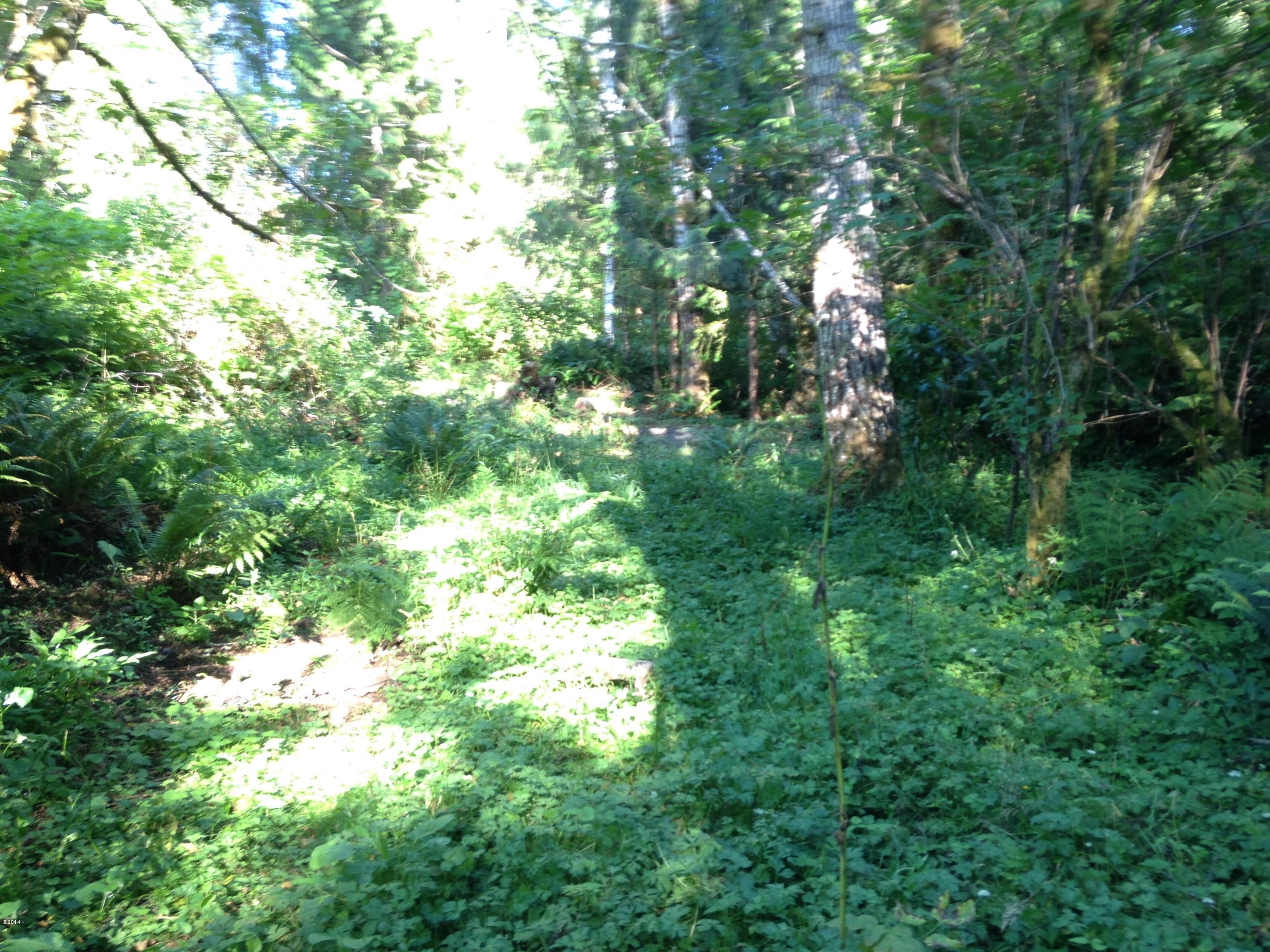 102 North Timber Road Otis, OR 97368 - Photo 2 of 5 Driveway