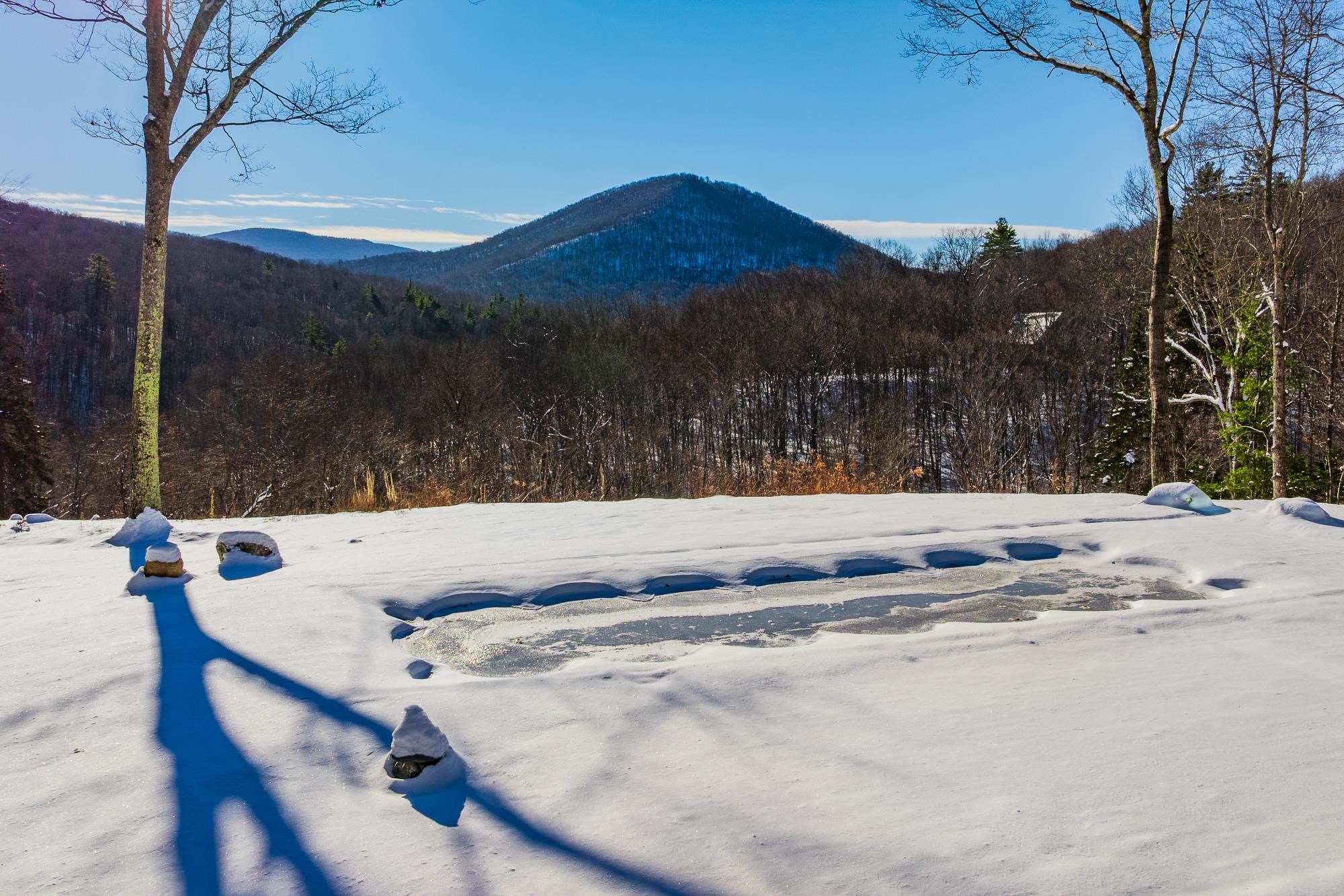 276 Wilcox Hollow Road Sandgate, VT 05250 - Photo 48 of 51