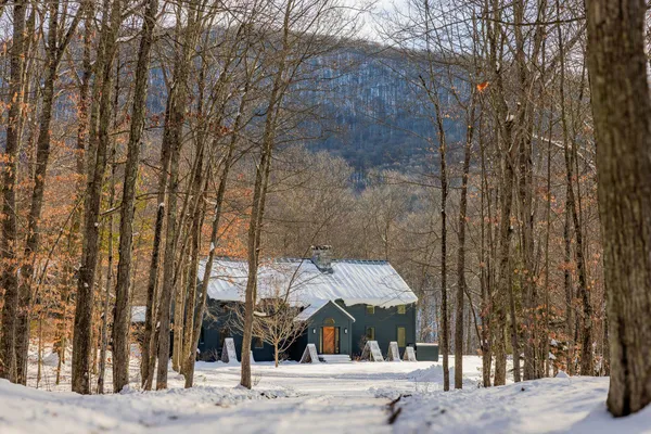 $1,650,000 | 276 Wilcox Hollow Road, Sandgate, VT 05250