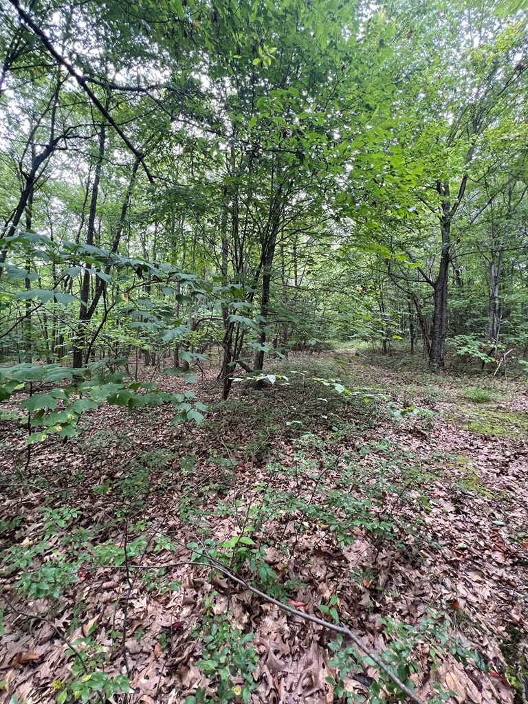 0 Sand Rock Road Huntingdon, PA 16652 - Photo 6 of 19 Gallery Image 6