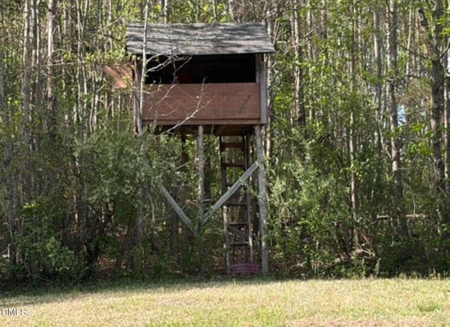 721 General Green Road Kittrell, NC 27544 - Photo 35 of 36 a view of a wooden house with a small yard and large trees