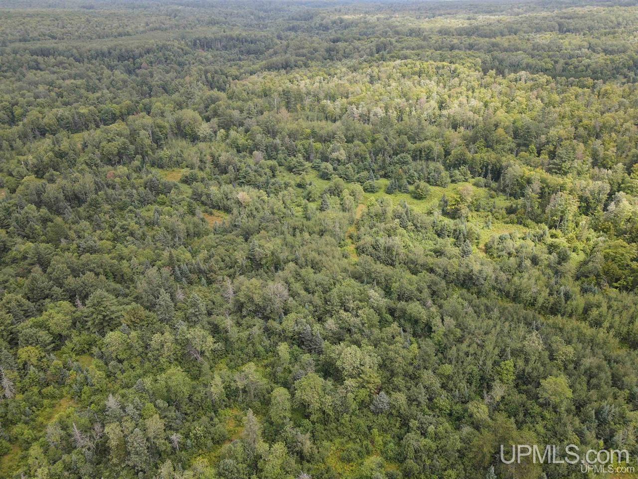 9692 North Laird Road Pelkie, MI 49958 - Photo 13 of 44