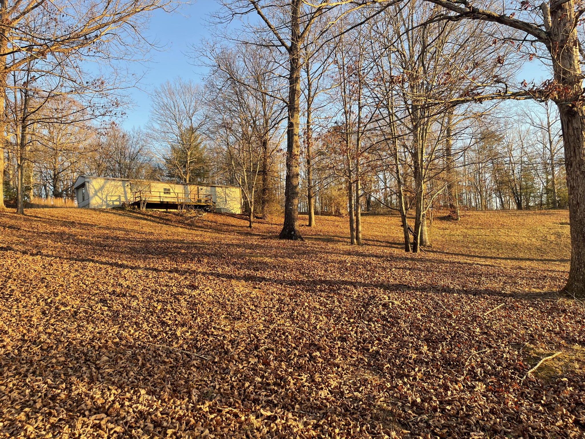 454 County Road 188 Decatur, TN 37322 - Photo 1 of 16 Gallery Image 1