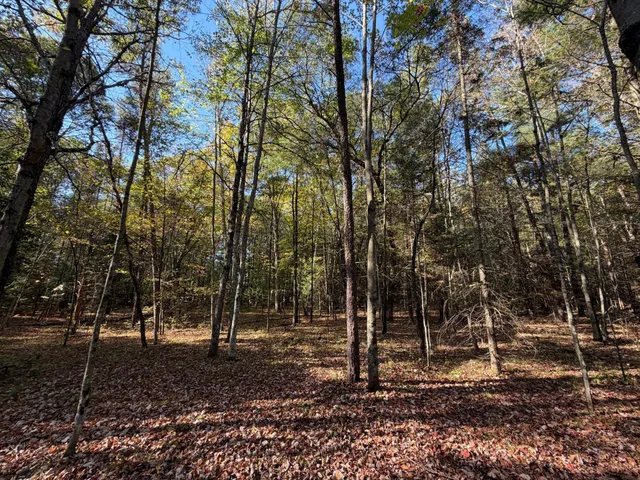 $85,000 | 7041 Mar Lee Road, Webster, WI 54893