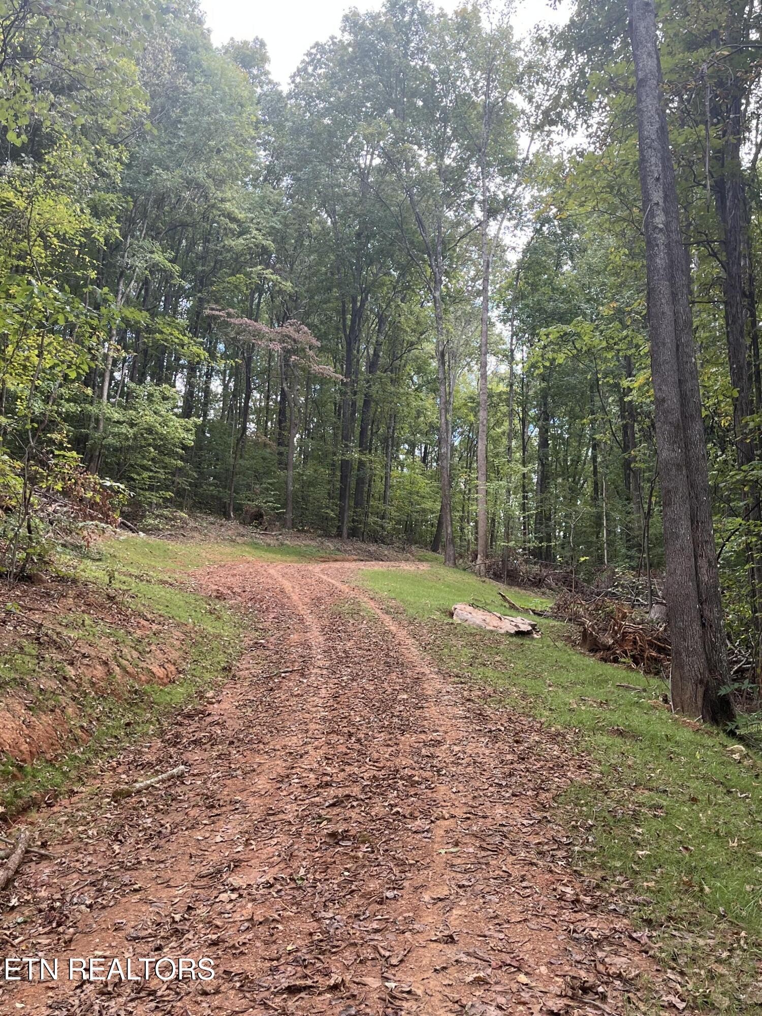 0 Cr 67 Road Riceville, TN 37370 - Photo 23 of 50 Gallery Image 23