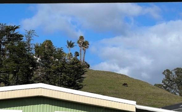 100 North Rodeo Gulch Road, Unit 169 Soquel, CA 95073 - Photo 37 of 39 Gallery Image 37