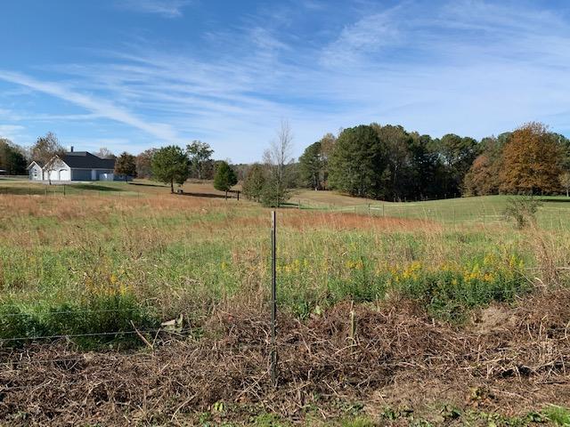 290 Hankins Road Rock Spring, GA 30739 - Photo 31 of 32 IMG_1040