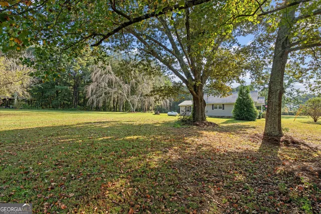 a view of a yard with a trees