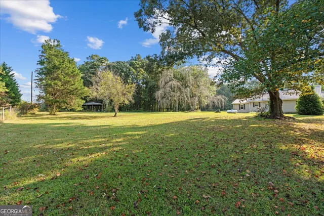 a view of outdoor space with garden and trees