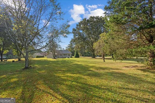 a view of a trees with a big yard