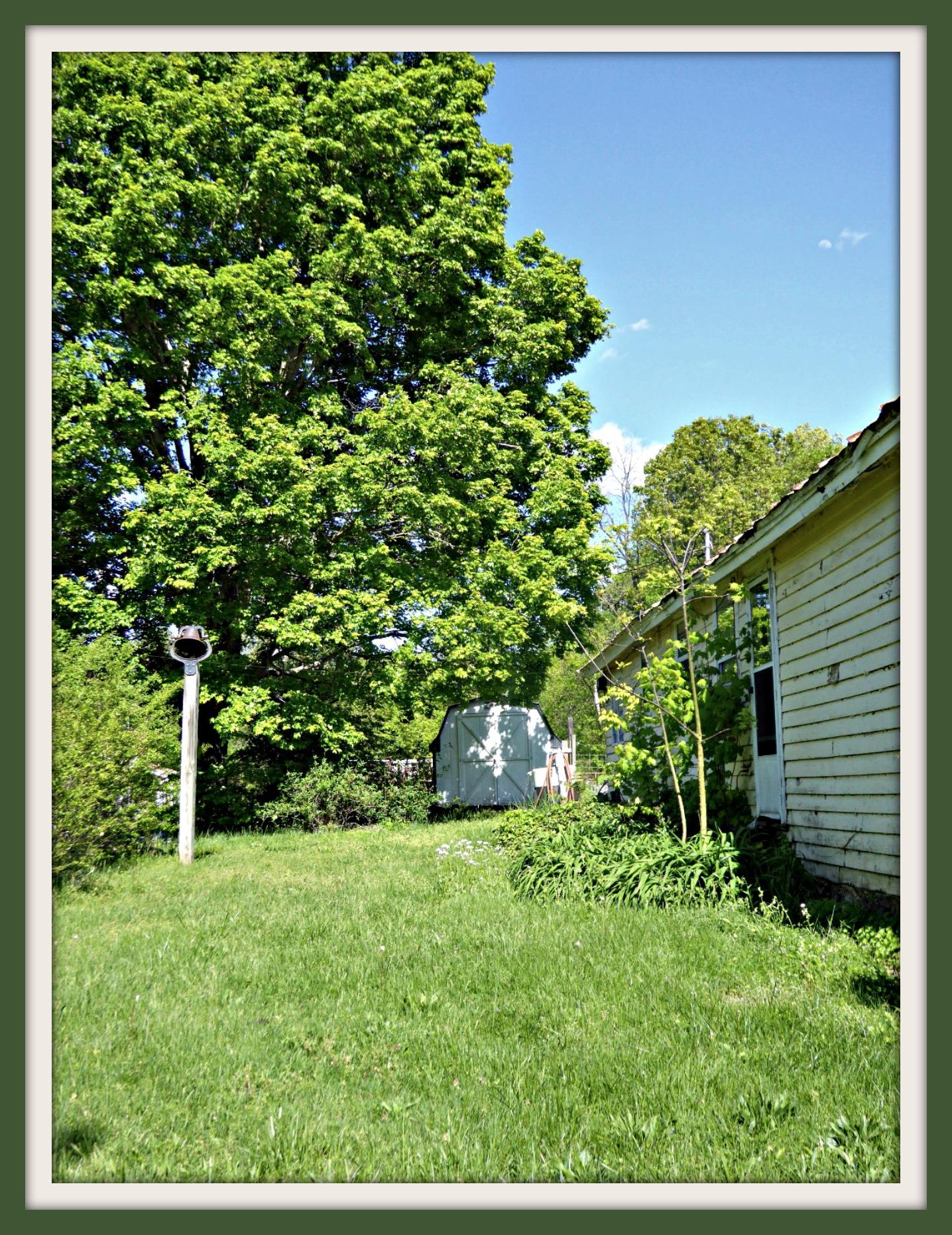 Lot 4 Niles Road Dandridge, TN 37725 - Photo 11 of 14 P1010991f
