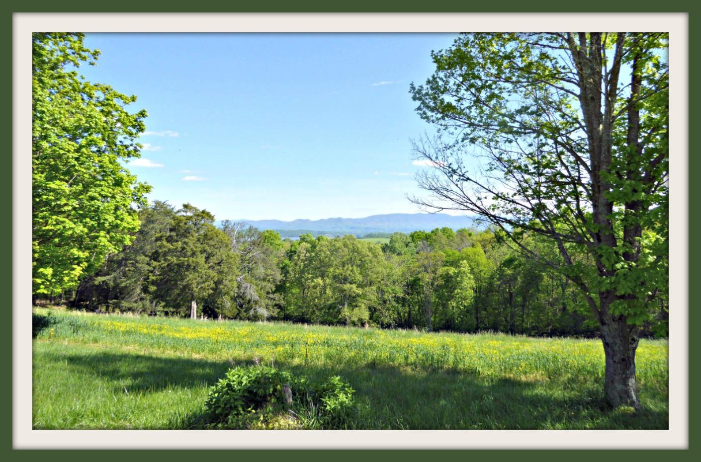 Lot 4 Niles Road Dandridge, TN 37725 - Photo 4 of 14 P1010965f