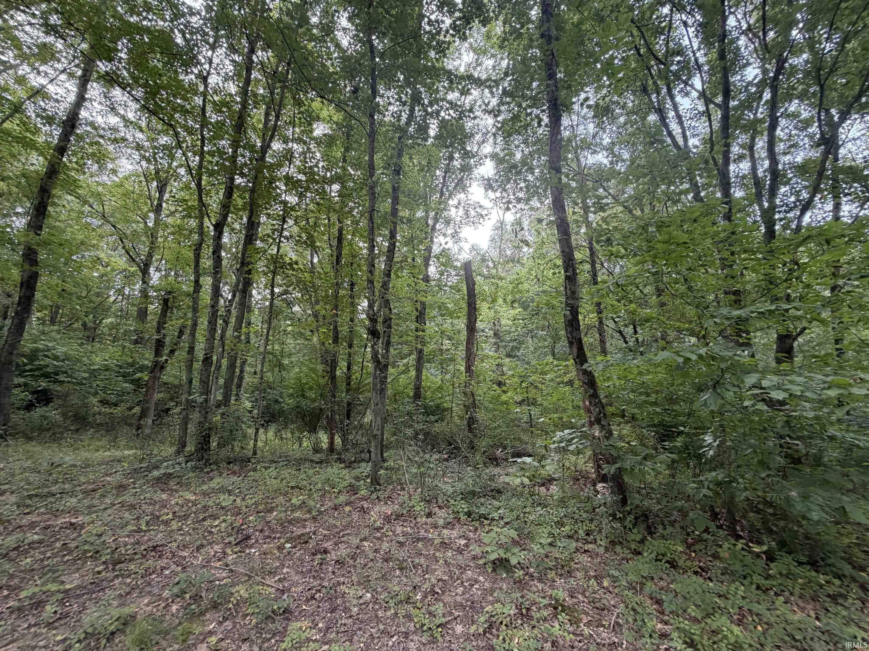 0 St Road Velpen, IN 47590 - Photo 4 of 8 Gallery Image 4