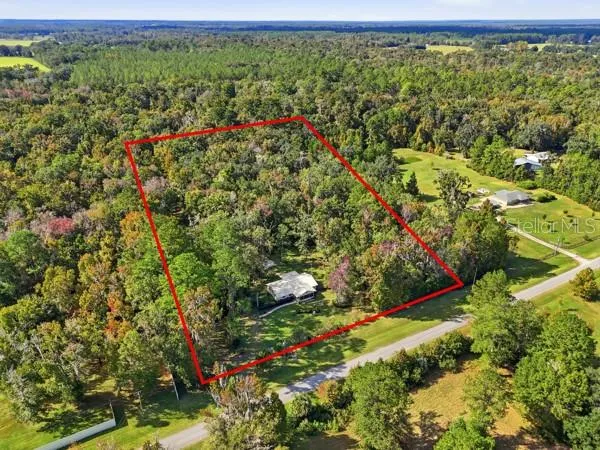 a view of a garden with flowers