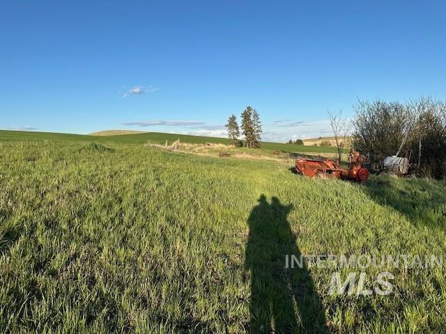 21 B Howard Road Palouse, WA 99161 - Photo 7 of 13 View of green lawn featuring a view of countryside
