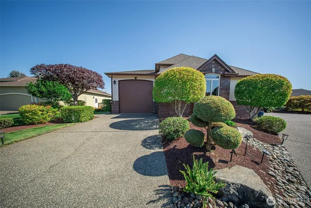 a view of a garden with plants