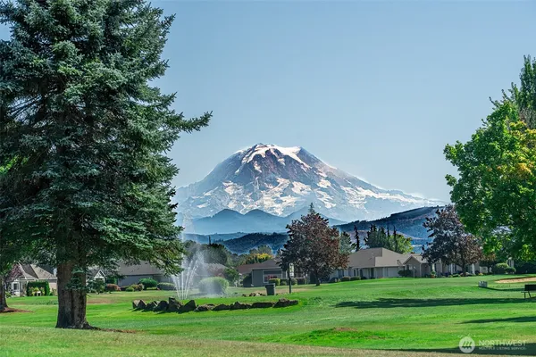 a front view of a house with garden and trees