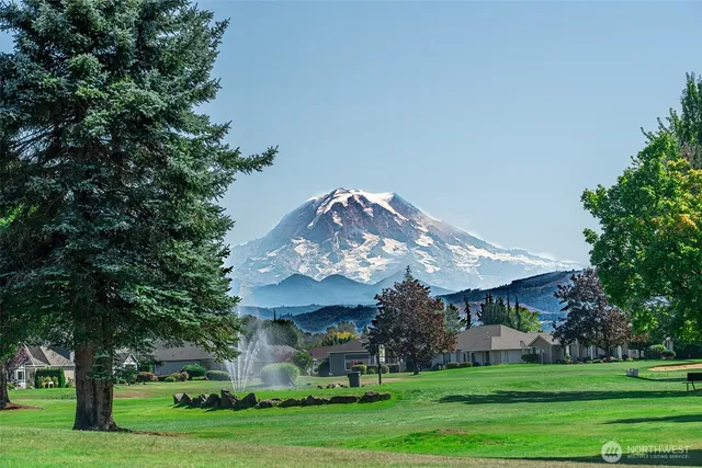 a front view of a house with garden and trees