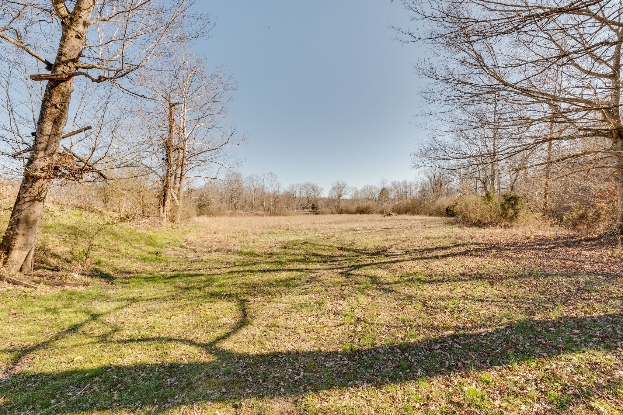 708 Longbranch Road Hohenwald, TN 38462 - Photo 5 of 35 Gallery Image 5