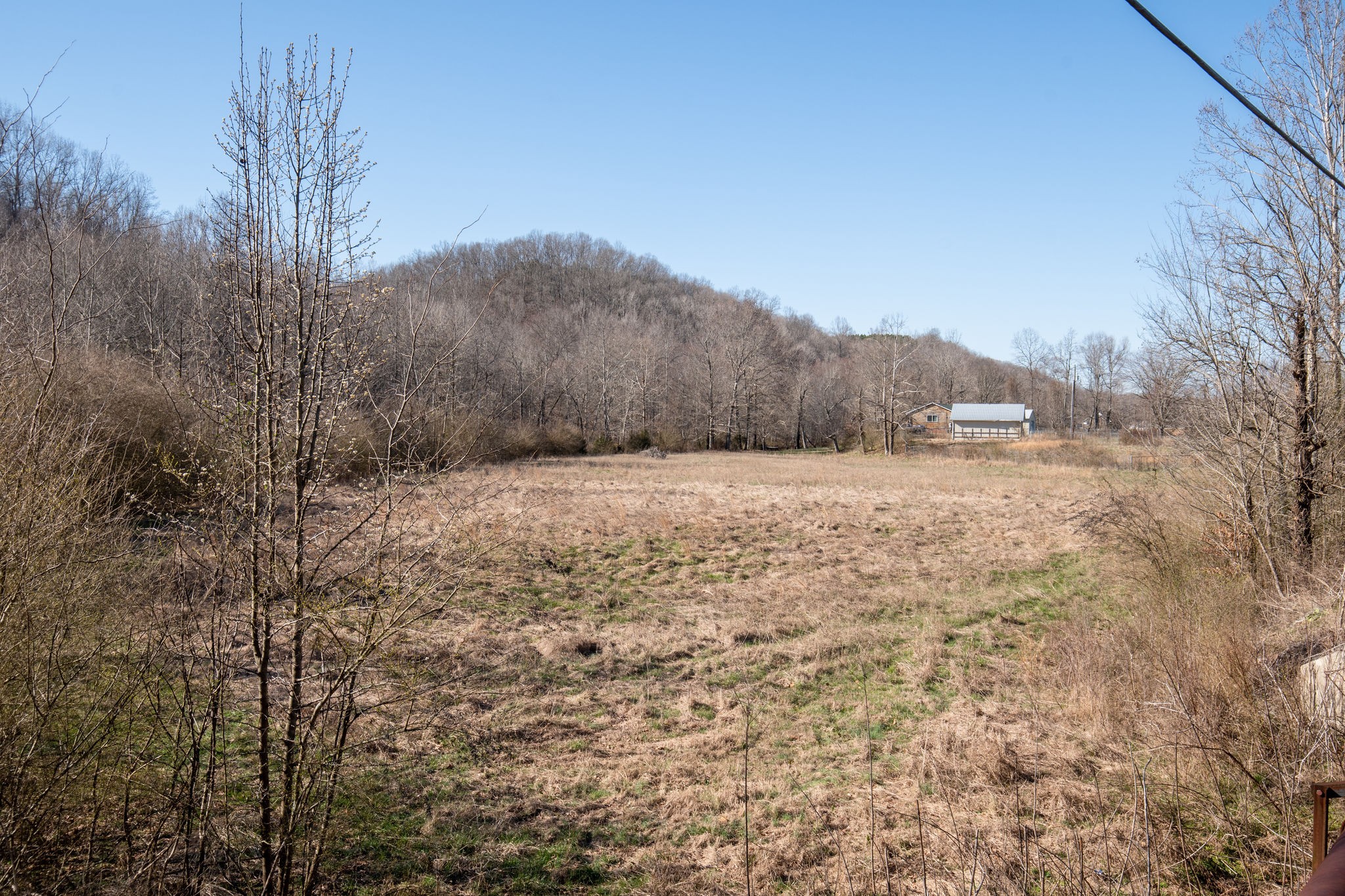 708 Longbranch Road Hohenwald, TN 38462 - Photo 6 of 35 Gallery Image 6