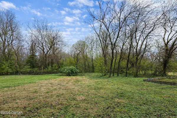 a view of outdoor space with trees all around