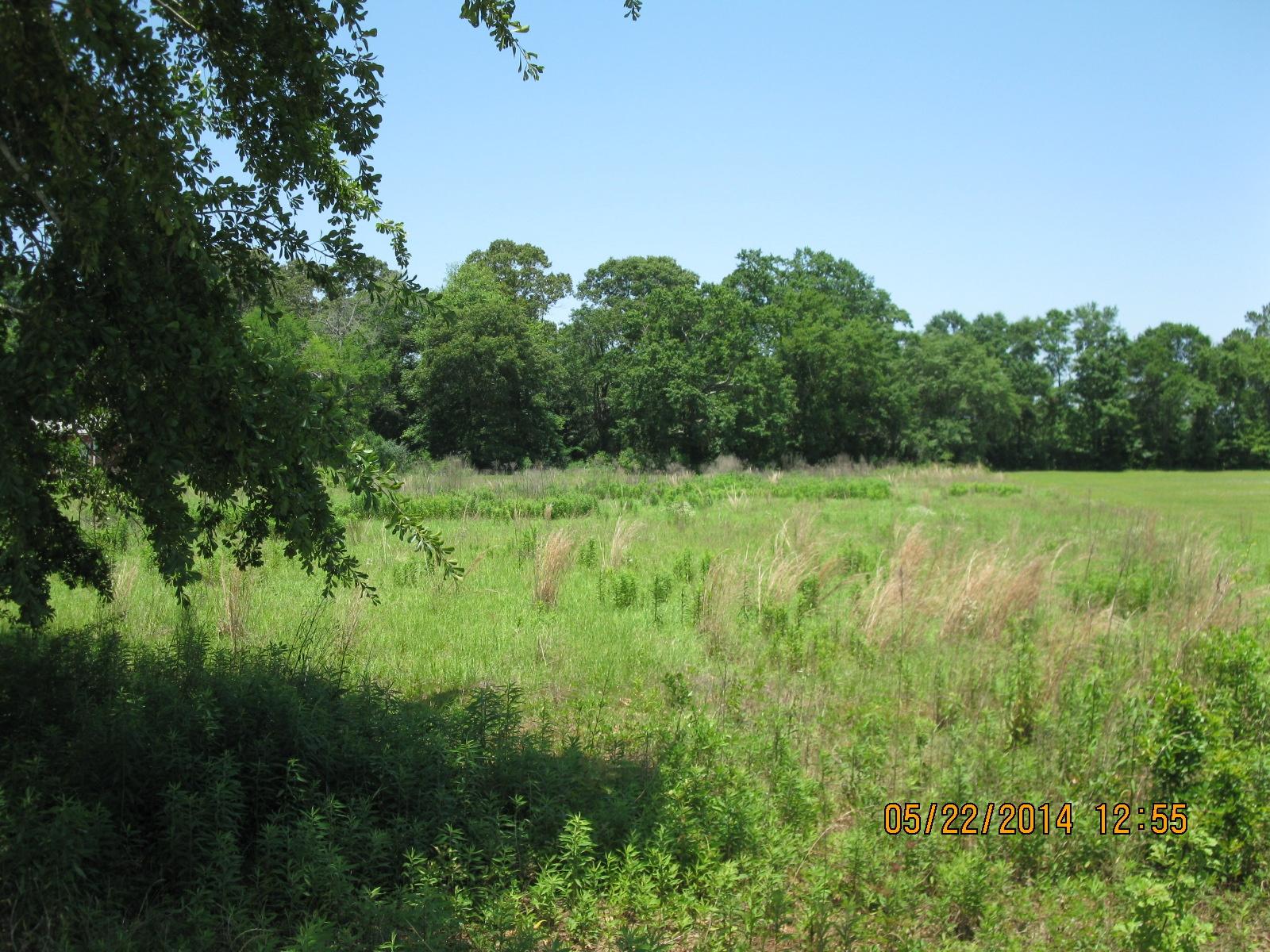 Tbd Shady Grove Church Road Baker, FL 32531 - Photo 1 of 4 a view of a lush green space