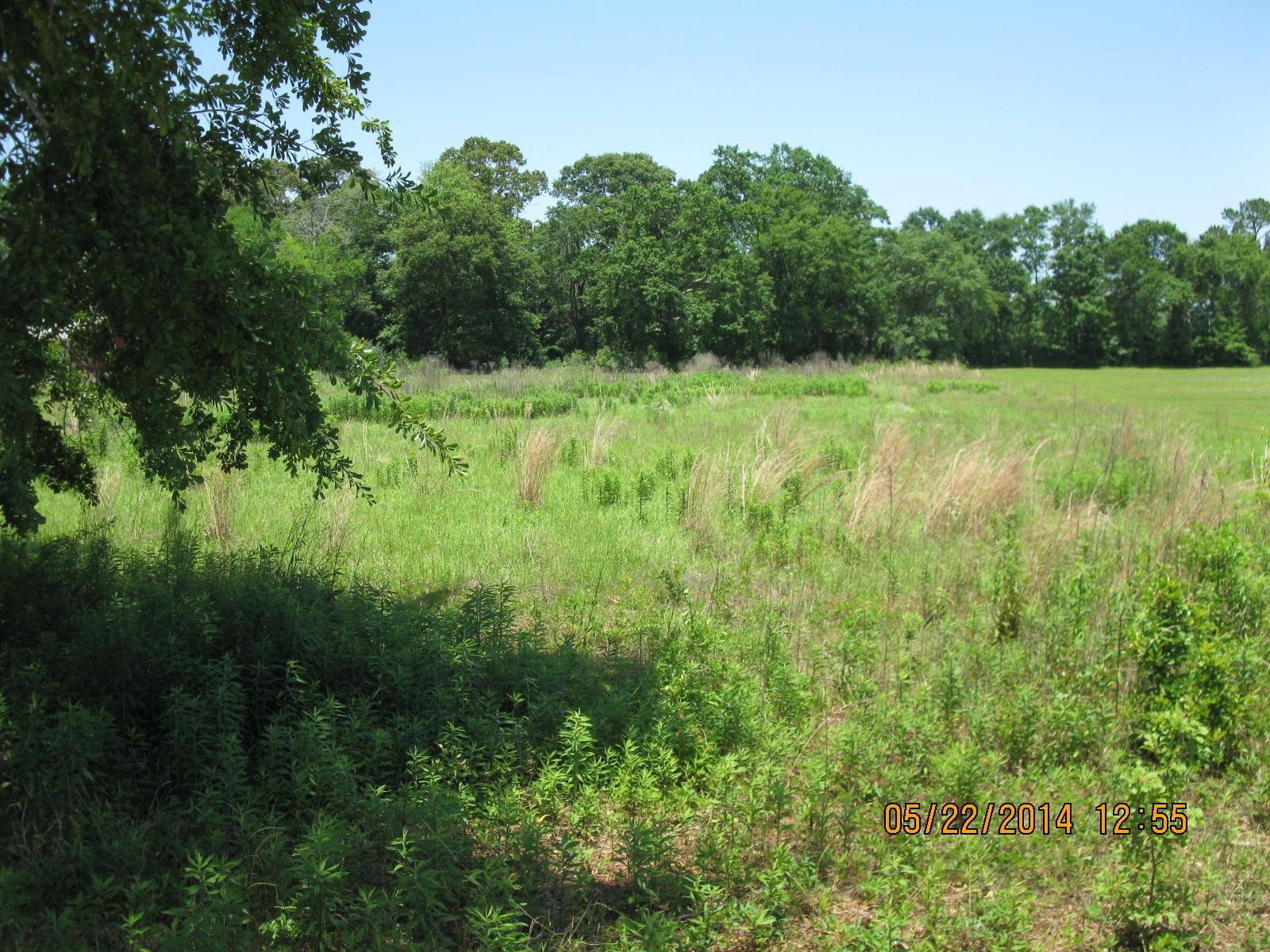Tbd Shady Grove Church Road Baker, FL 32531 - Photo 2 of 4 a view of a garden