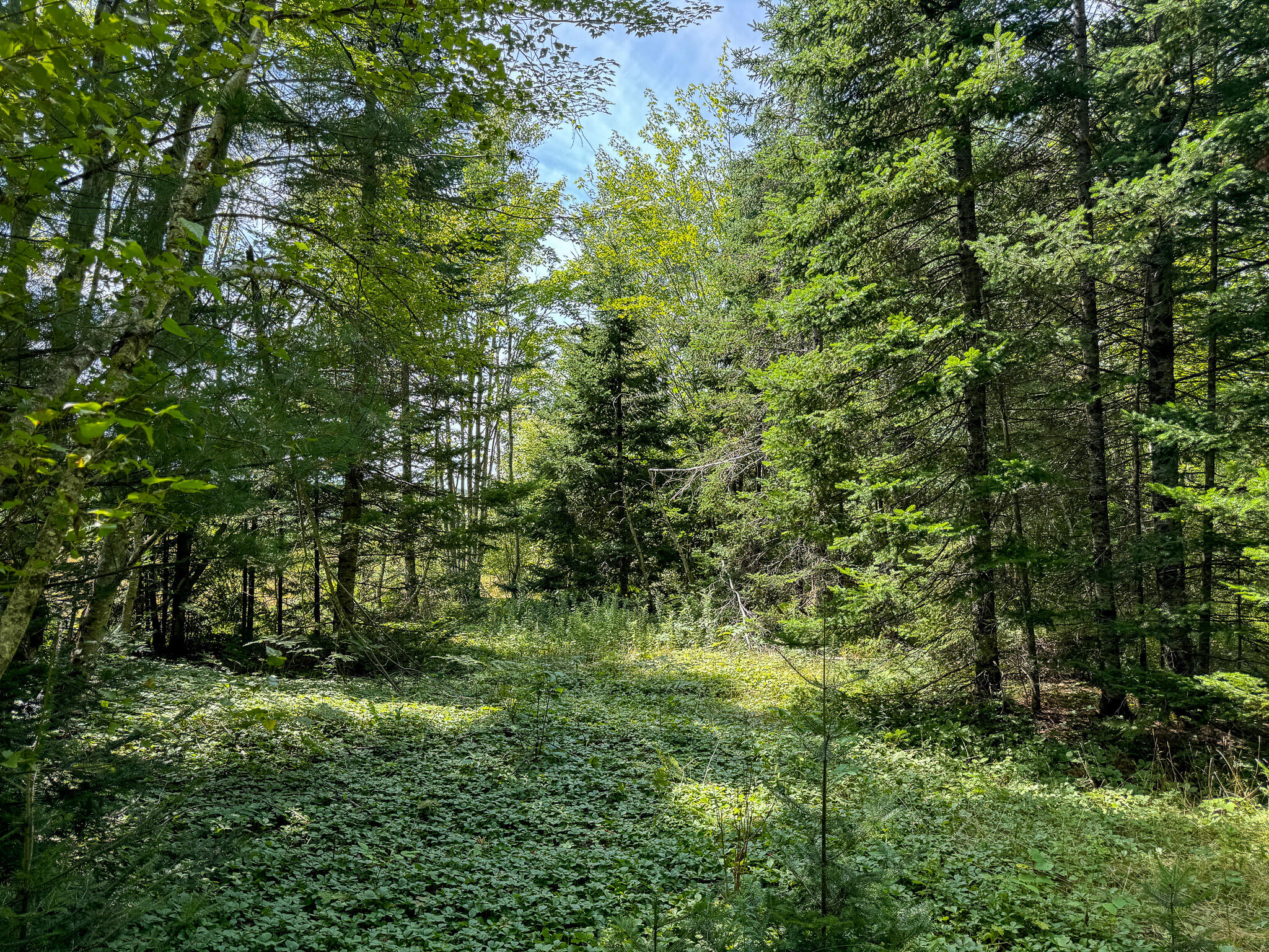 M9-l20-1 Valley Road Etna, ME 04434 - Photo 11 of 33 Photo Aug 08 2024, 1 13 39 PM