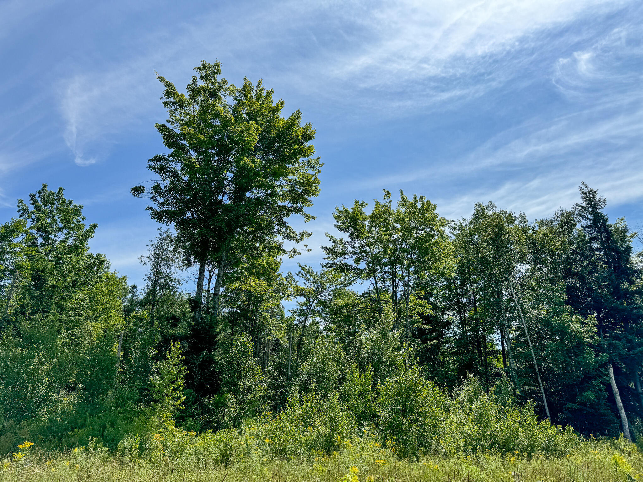 M9-l20-1 Valley Road Etna, ME 04434 - Photo 15 of 33 Photo Aug 08 2024, 1 22 20 PM