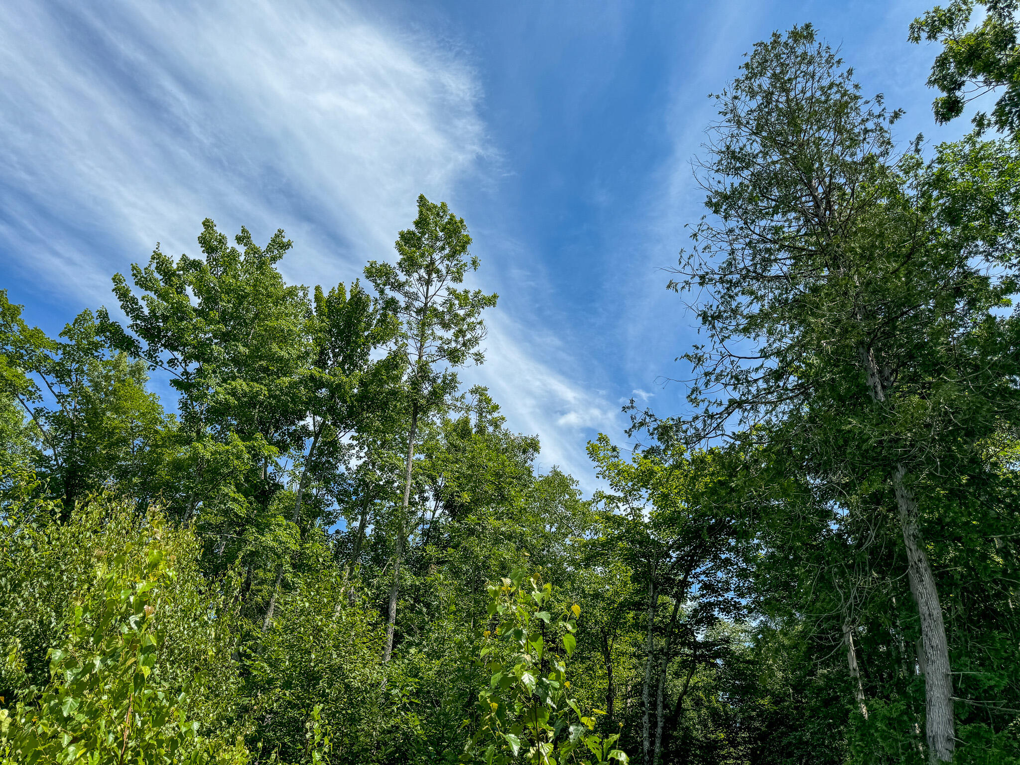 M9-l20-1 Valley Road Etna, ME 04434 - Photo 16 of 33 Photo Aug 08 2024, 1 29 16 PM