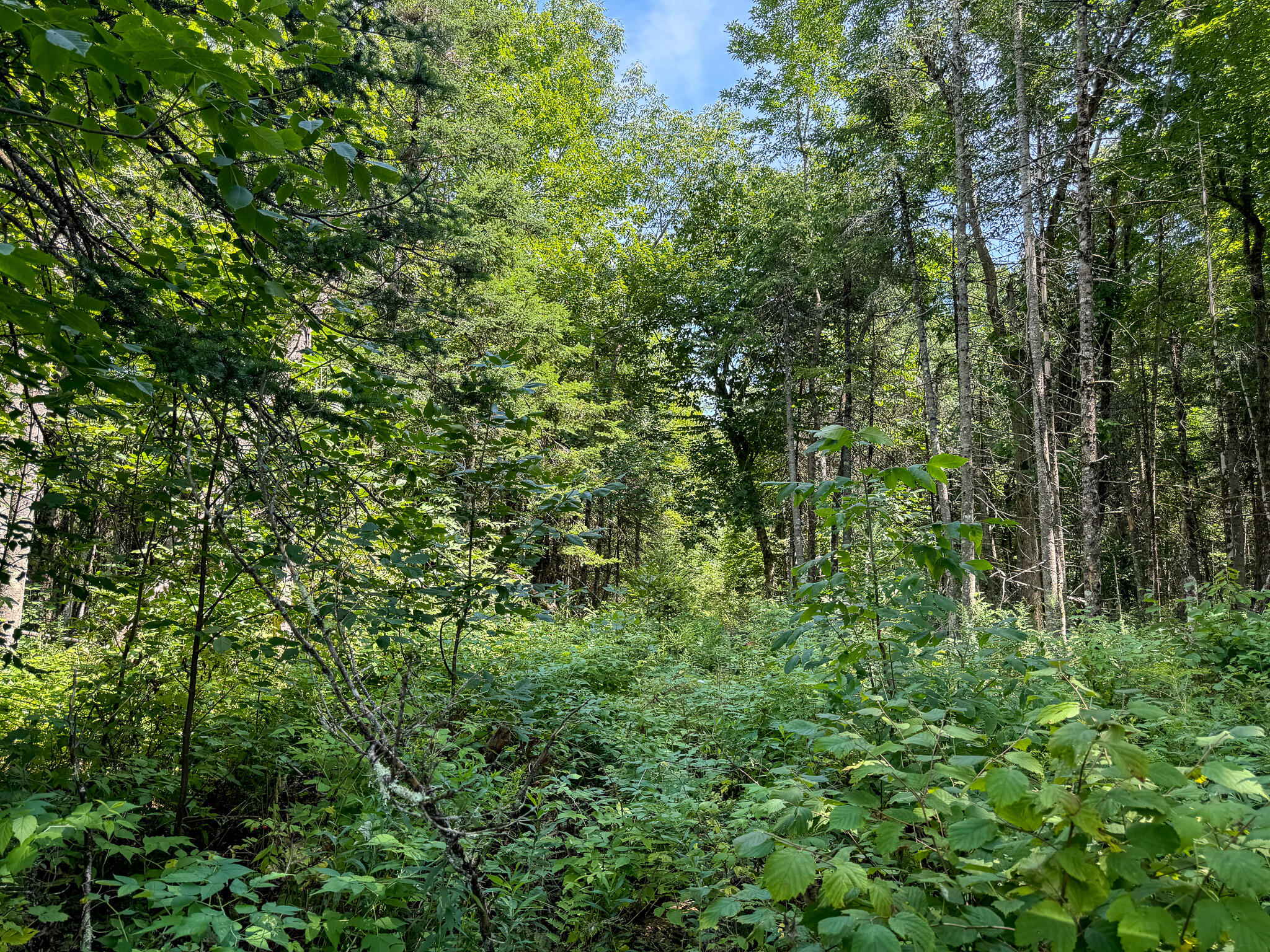 M9-l20-1 Valley Road Etna, ME 04434 - Photo 18 of 33 Photo Aug 08 2024, 1 31 02 PM