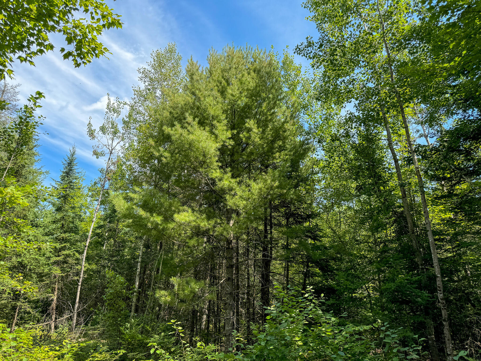 M9-l20-1 Valley Road Etna, ME 04434 - Photo 19 of 33 Photo Aug 08 2024, 1 34 11 PM