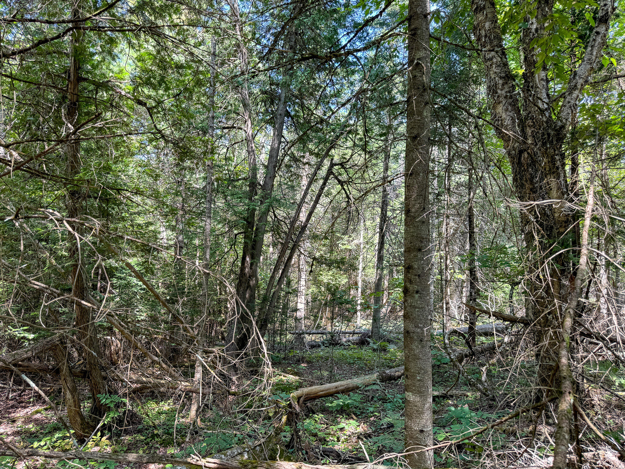 M9-l20-1 Valley Road Etna, ME 04434 - Photo 26 of 33 Photo Aug 08 2024, 12 45 17 PM