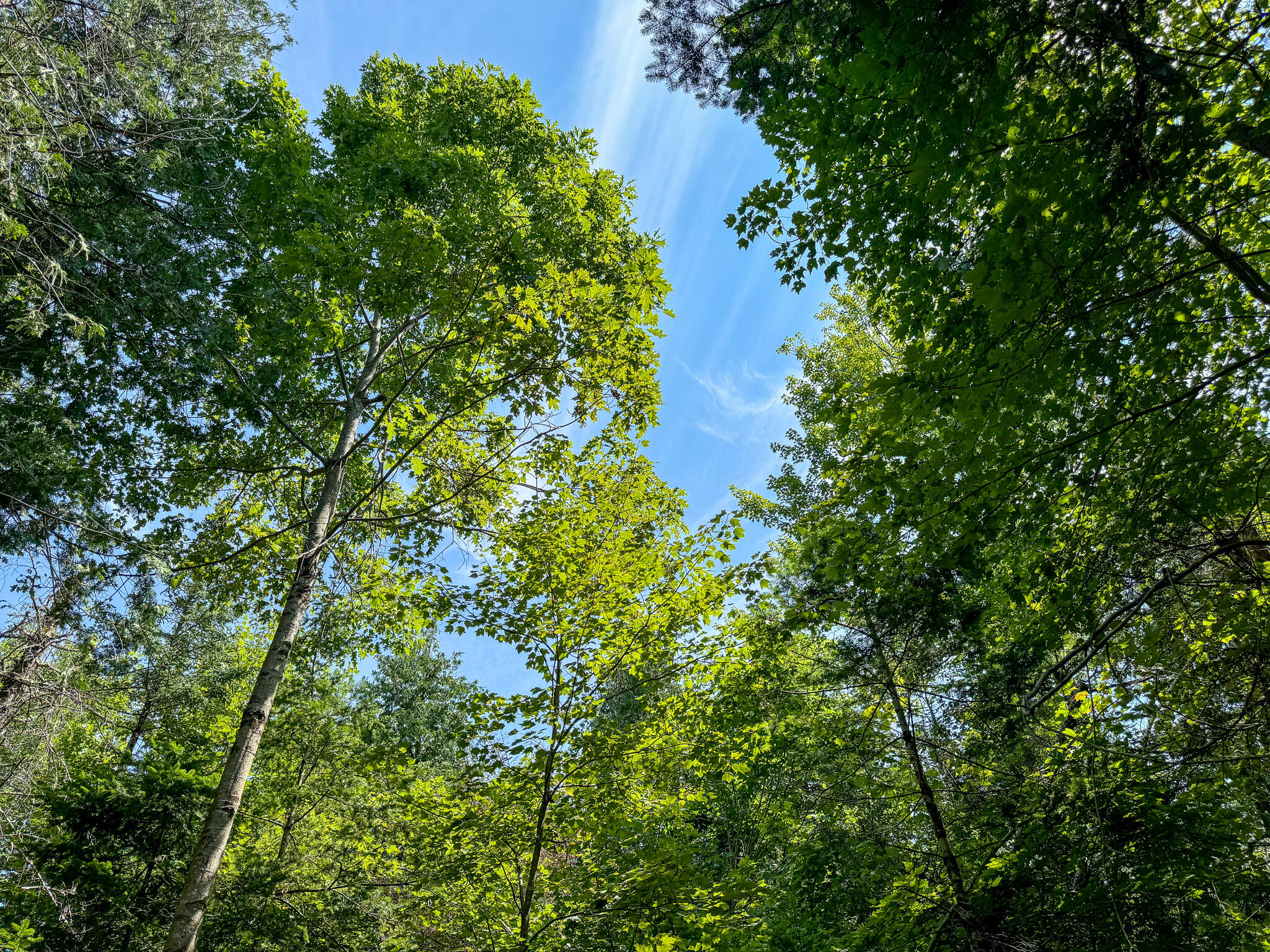 M9-l20-1 Valley Road Etna, ME 04434 - Photo 27 of 33 Photo Aug 08 2024, 12 46 15 PM