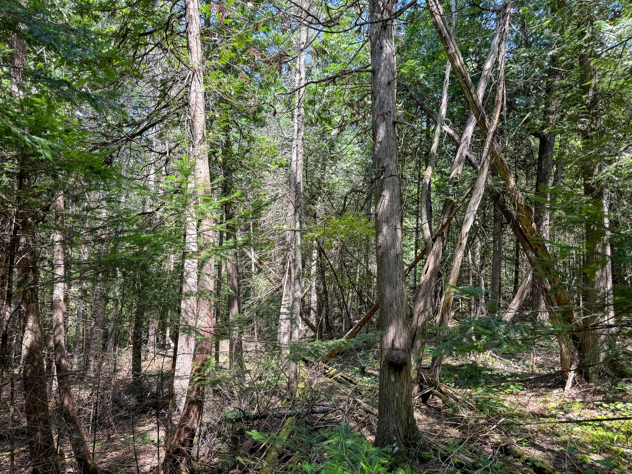 M9-l20-1 Valley Road Etna, ME 04434 - Photo 28 of 33 Photo Aug 08 2024, 12 46 40 PM