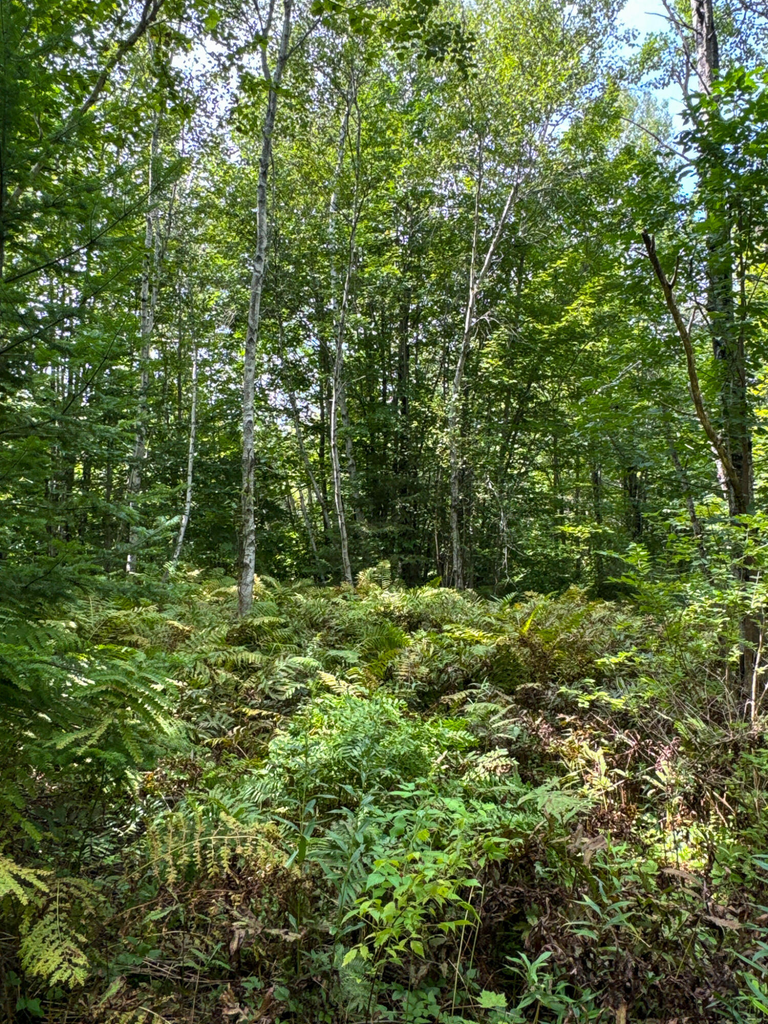 M9-l20-1 Valley Road Etna, ME 04434 - Photo 31 of 33 Photo Aug 09 2024, 12 51 09 PM