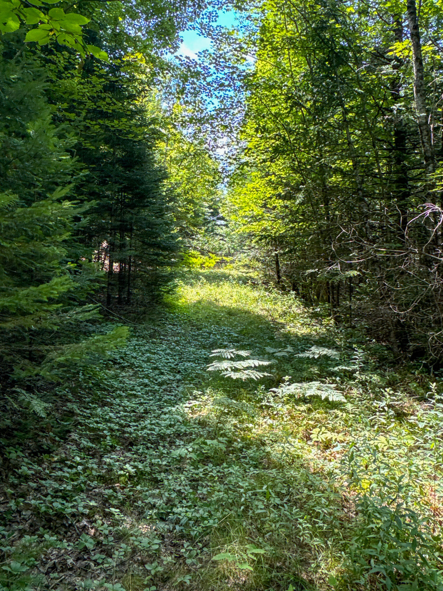 M9-l20-1 Valley Road Etna, ME 04434 - Photo 32 of 33 Photo Aug 09 2024, 12 51 10 PM (1)