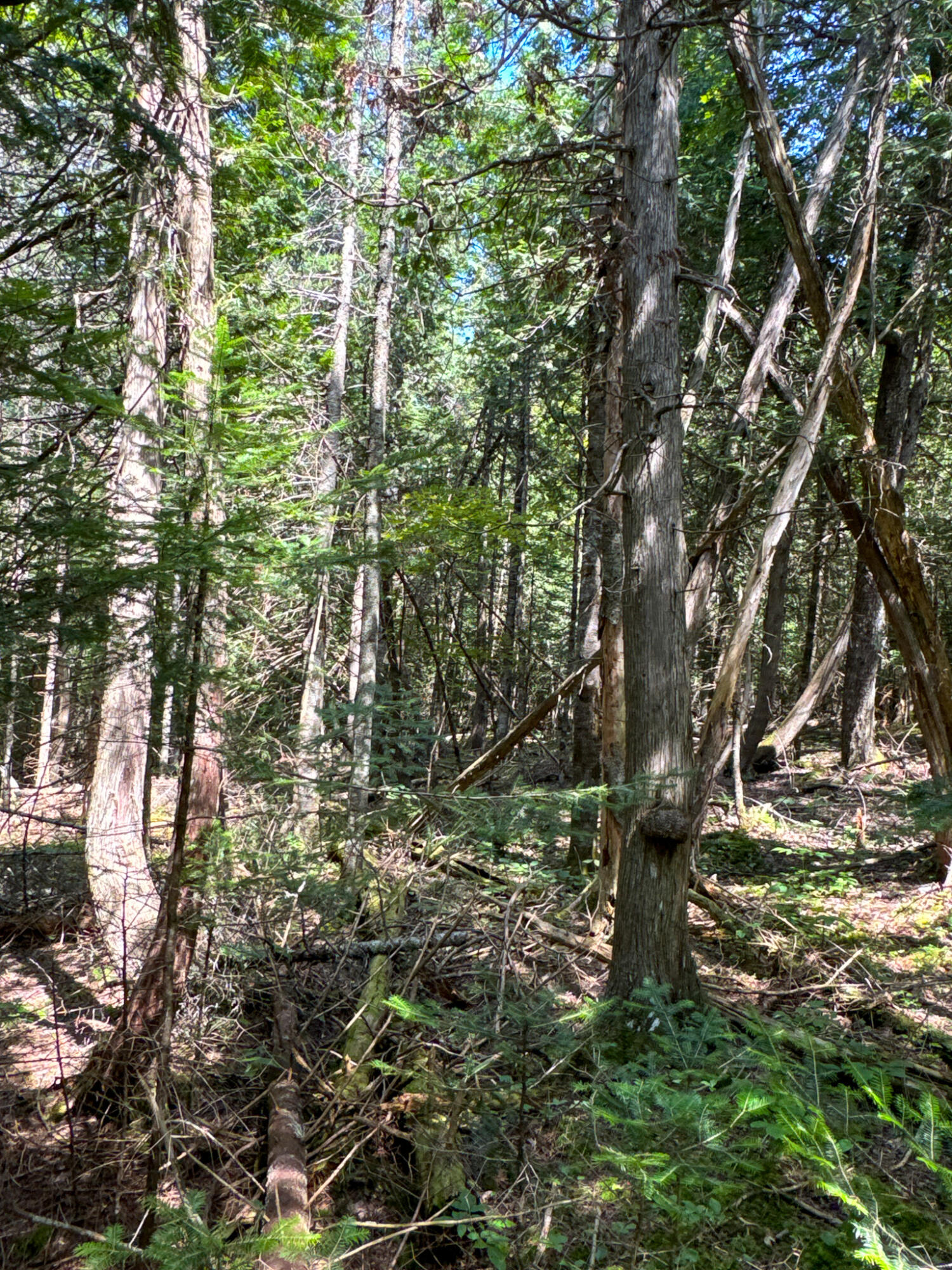 M9-l20-1 Valley Road Etna, ME 04434 - Photo 33 of 33 Photo Aug 09 2024, 12 51 10 PM (2)