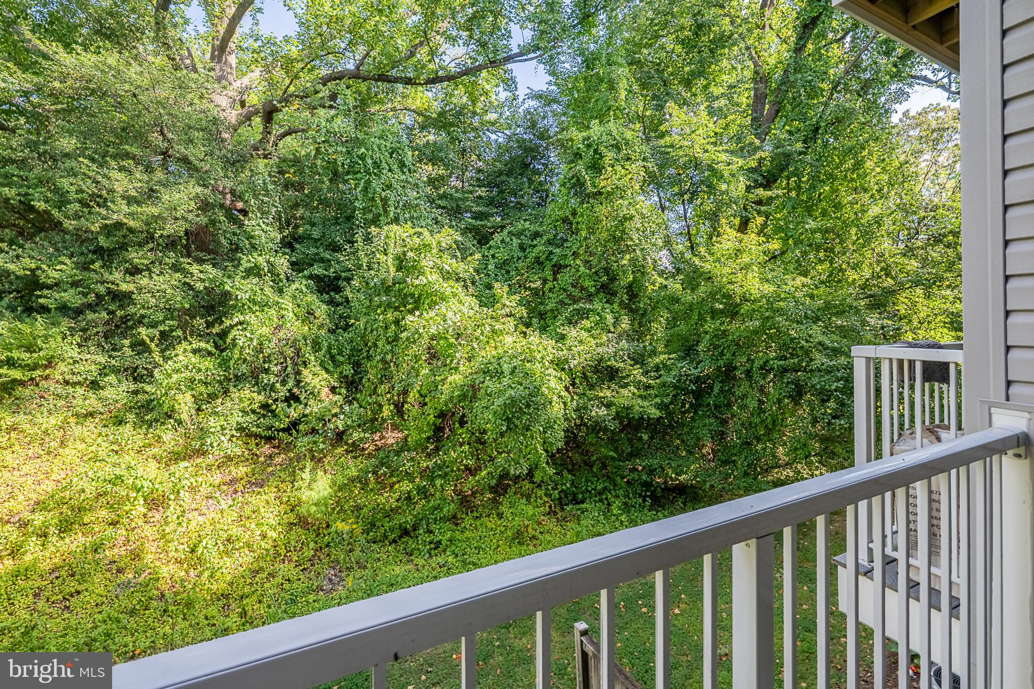 5920 Terrapin Place Alexandria, VA 22310 - Photo 29 of 67 a view of a green field with wooden fence
