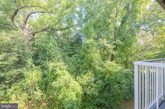 a view of walk in closet