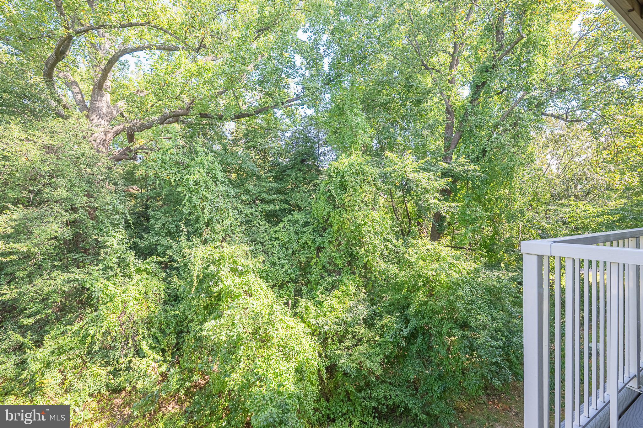 5920 Terrapin Place Alexandria, VA 22310 - Photo 32 of 67 a view of a yard with plants and wooden fence