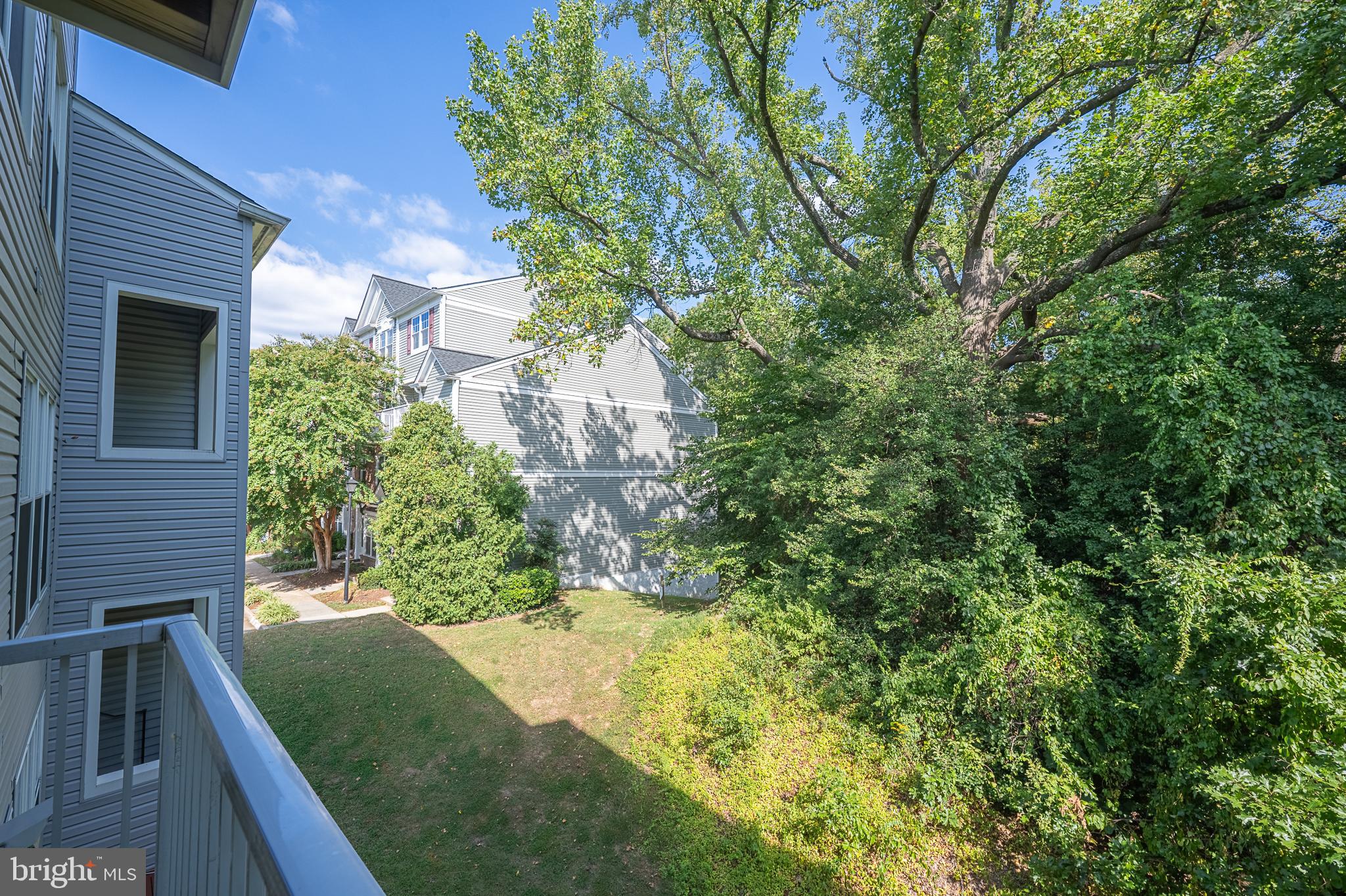 5920 Terrapin Place Alexandria, VA 22310 - Photo 33 of 67 a view of a yard with plants and wooden fence