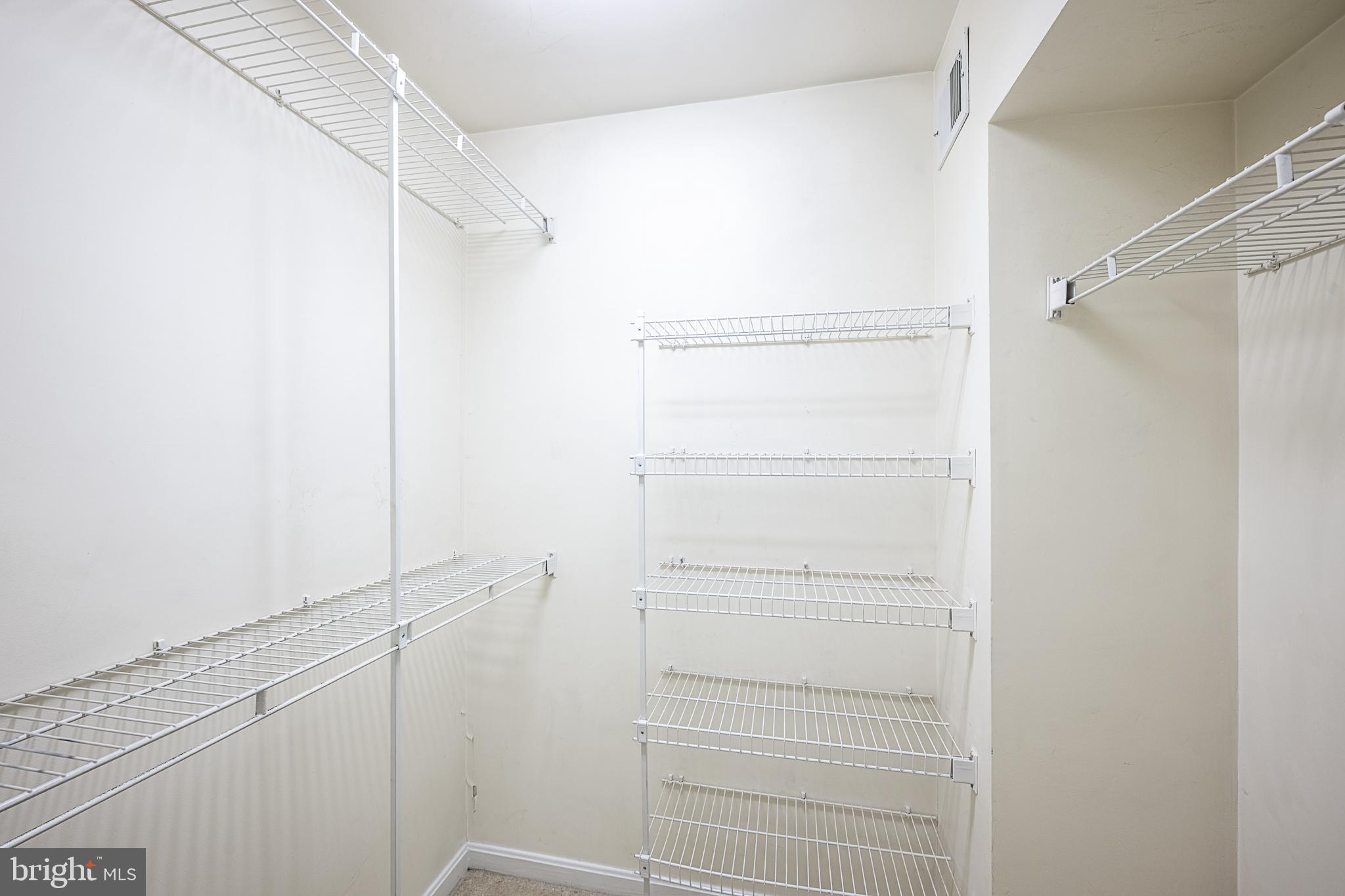 5920 Terrapin Place Alexandria, VA 22310 - Photo 45 of 67 a view of walk in closet