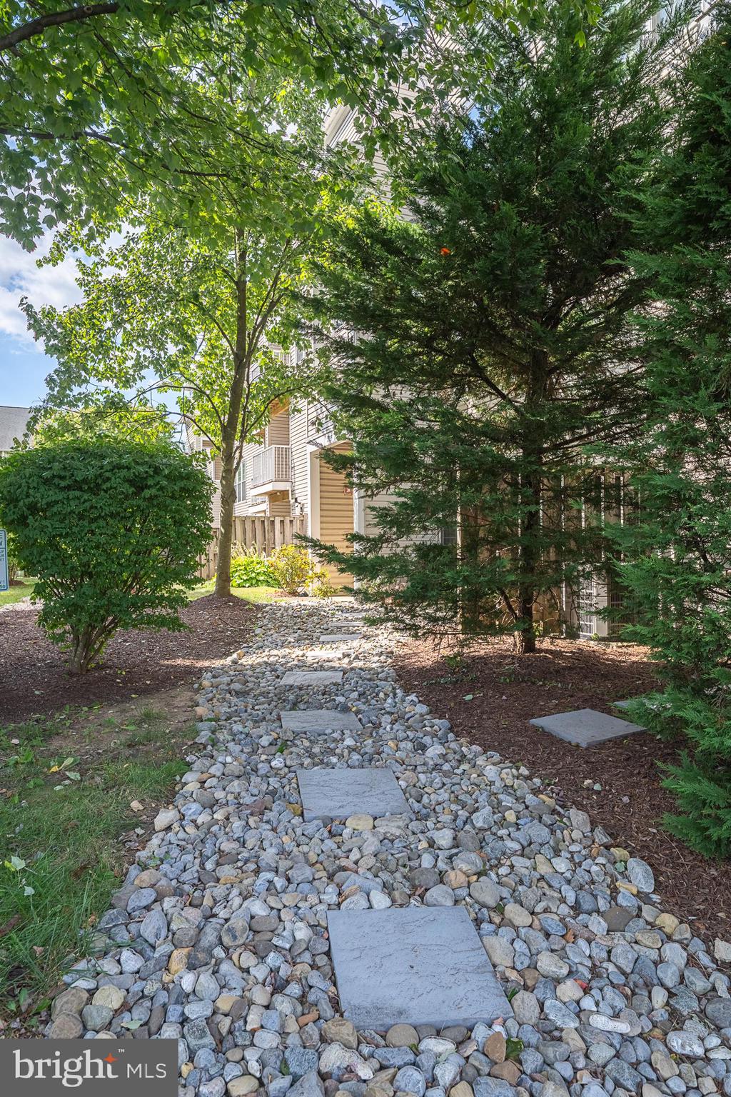 5920 Terrapin Place Alexandria, VA 22310 - Photo 56 of 67 a view of a yard with plants and trees